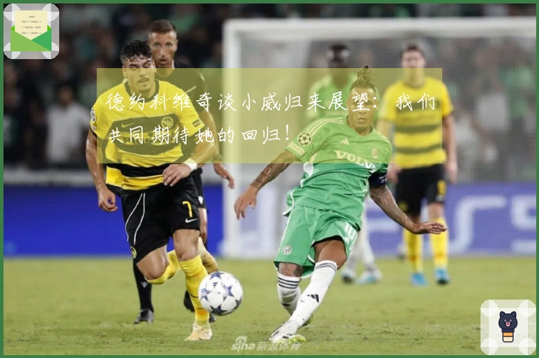 德约科维奇谈小威归来展望：我们共同期待她的回归！