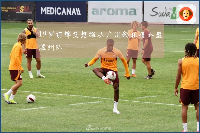 19岁前锋艾楚维从广州豹租借加盟温州队
